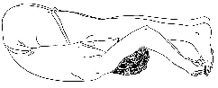 SCA-B2