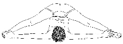 SCA-C1
